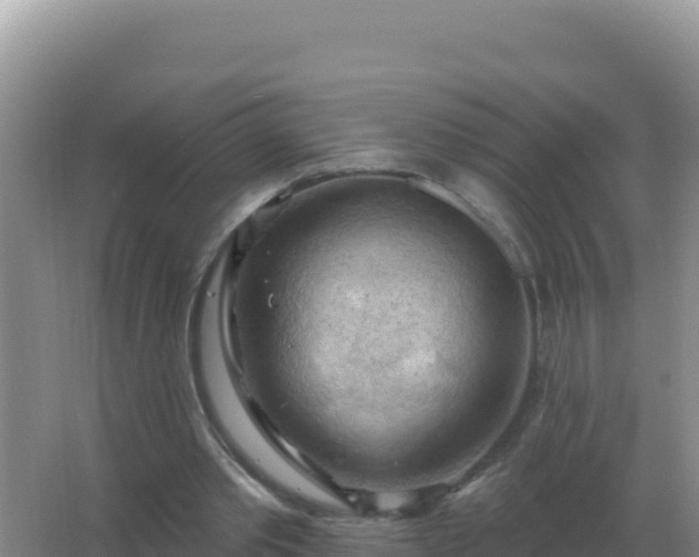 X0000067510389200604150139