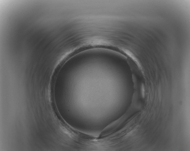 X0000067510391200604150139