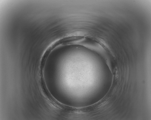 X0000067510392200604150139