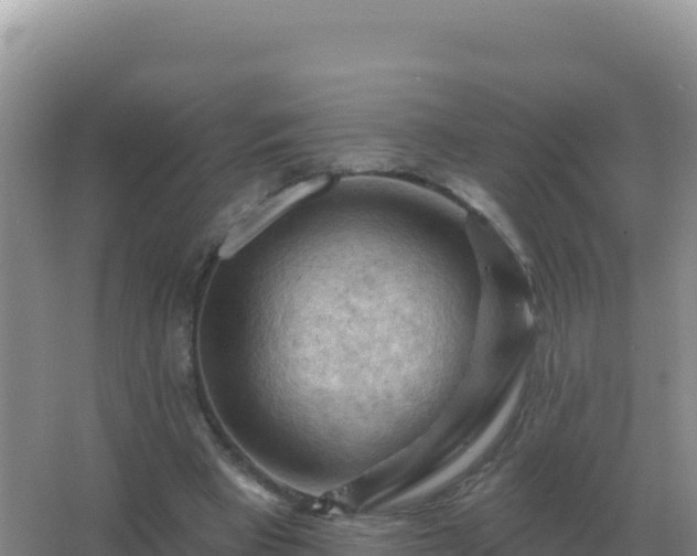 X0000067510393200604150139