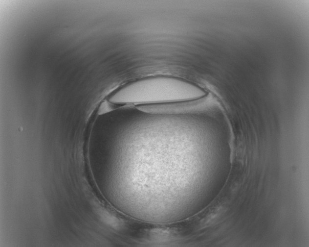 X0000067510394200604150139