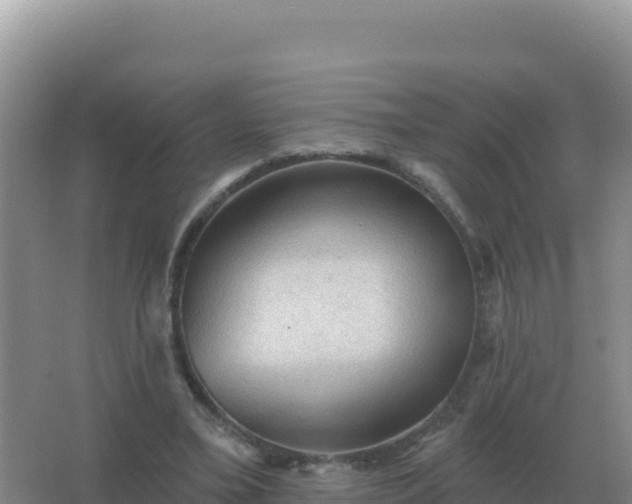 X0000067510395200604150139