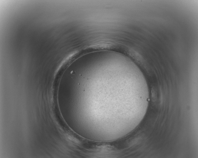 X0000067510396200604150139