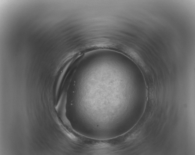 X0000067510397200604150139