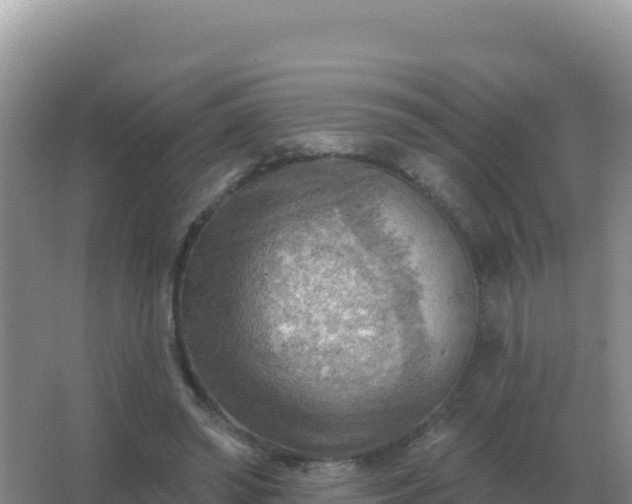 X0000067510398200604150139