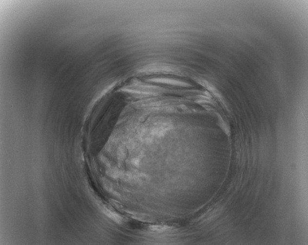 X0000067510399200604150139