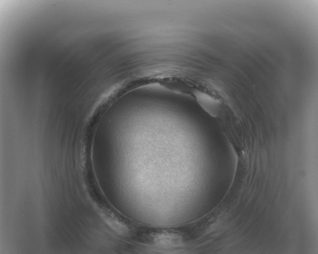 X0000067510400200604150139