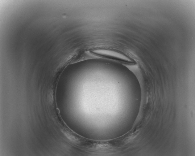 X0000067510401200604150139