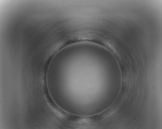 X0000067510402200604150138