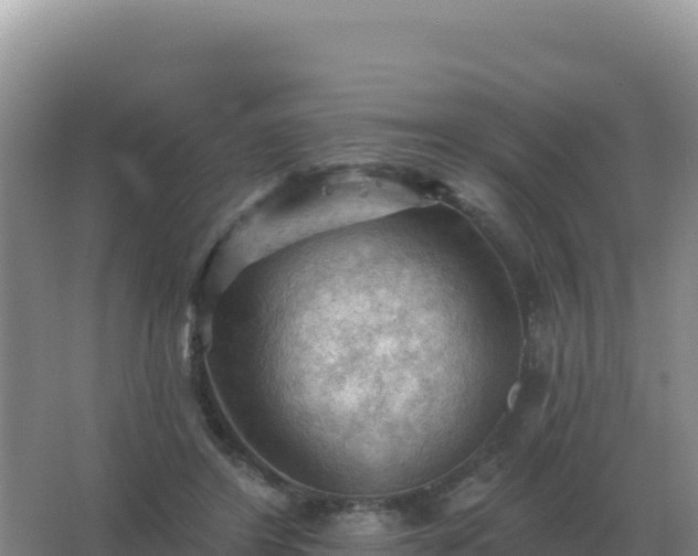 X0000067510404200604150138