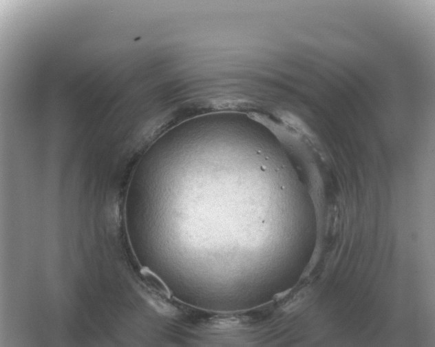 X0000067510405200604150138