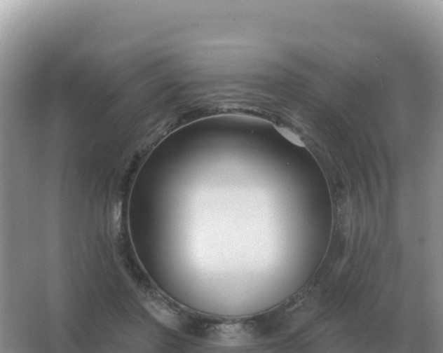 X0000067510406200604150138