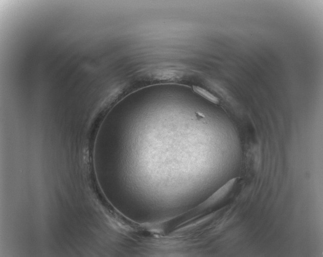 X0000067510407200604150138