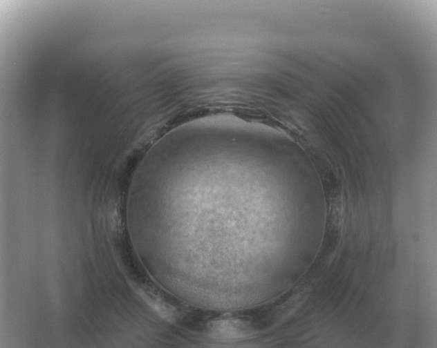 X0000067510408200604150138