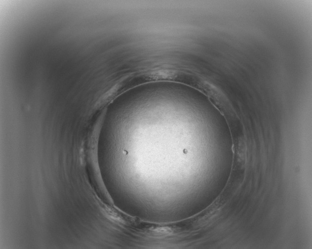 X0000067510409200604150138