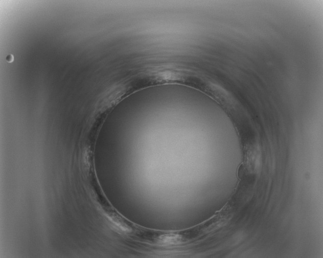 X0000067510410200604150138