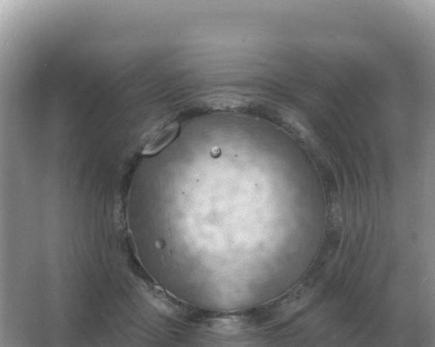 X0000067510411200604150138