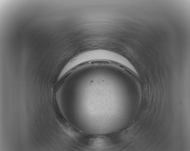 X0000067510412200604150138