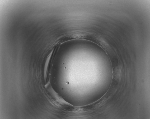 X0000067510413200604150138