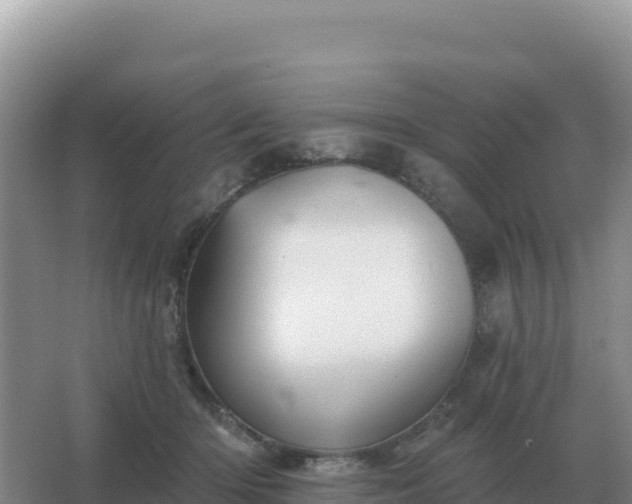 X0000067510414200604150138