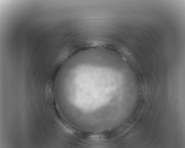 X0000067510415200604150138