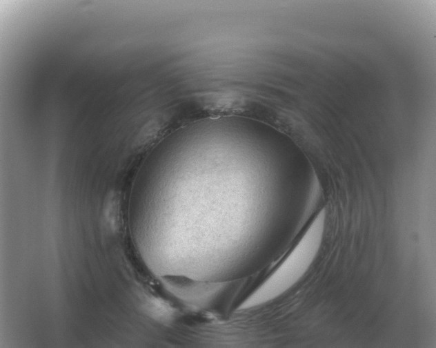 X0000067510416200604150138