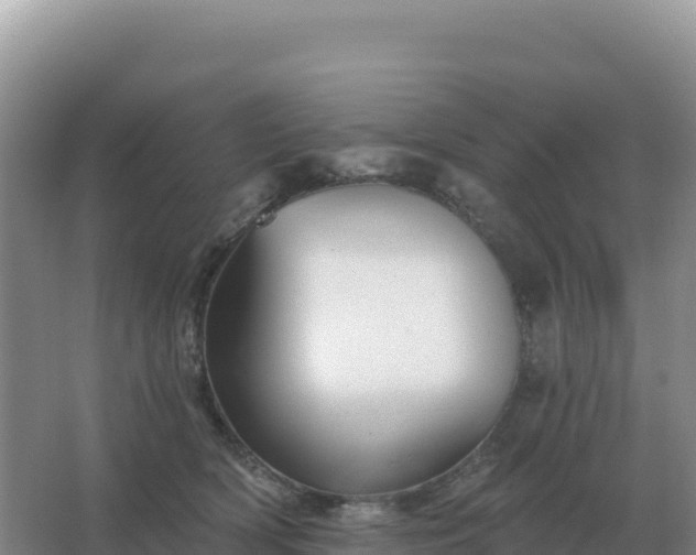 X0000067510418200604150138