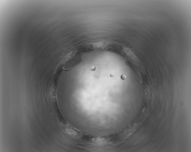 X0000067510419200604150138