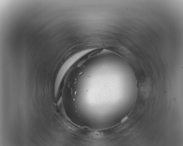 X0000067510421200604150138