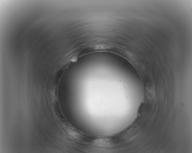 X0000067510422200604150138