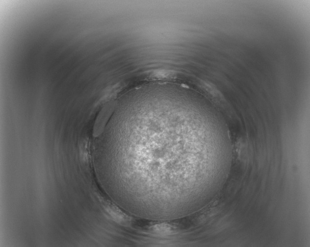 X0000067510423200604150138