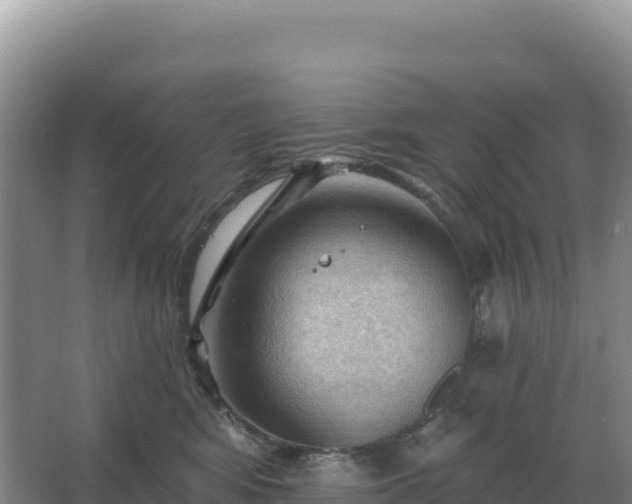 X0000067510424200604150138