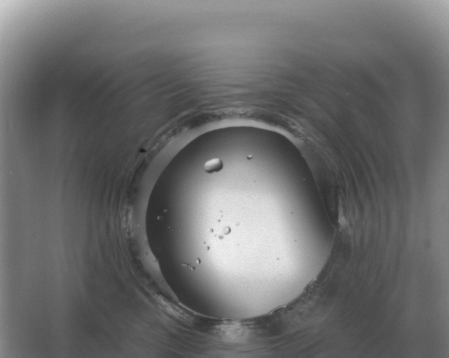 X0000067510425200604150138