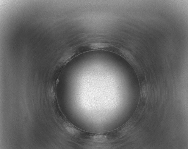 X0000067510426200604150138