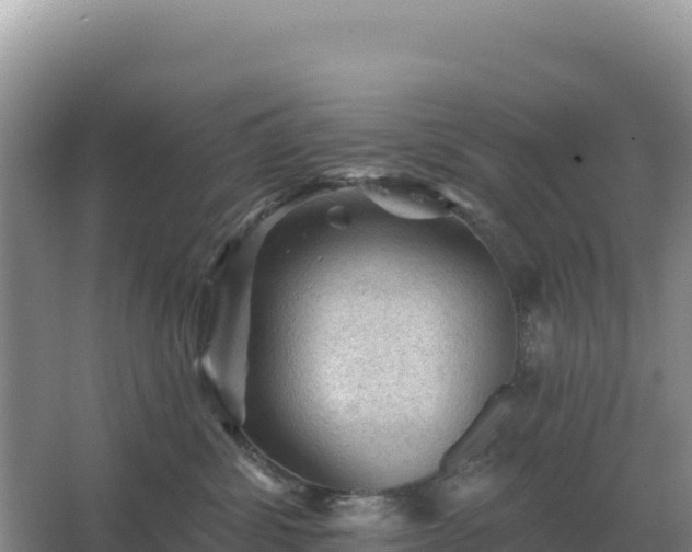 X0000067510428200604150138