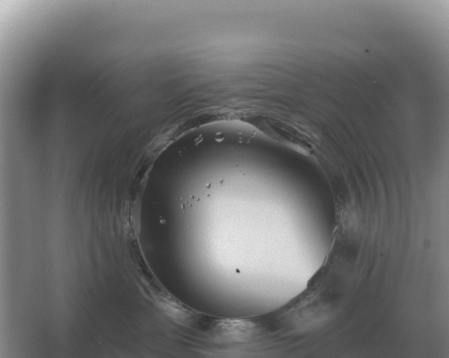 X0000067510429200604150138