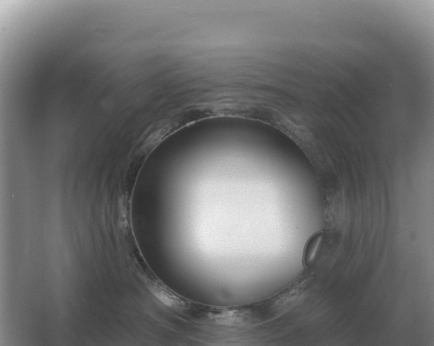 X0000067510430200604150138