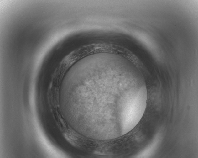 X0000067510431200604150138