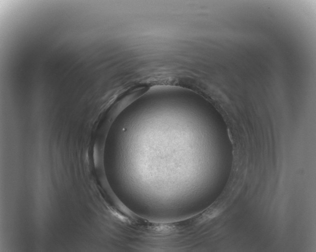 X0000067510432200604150138