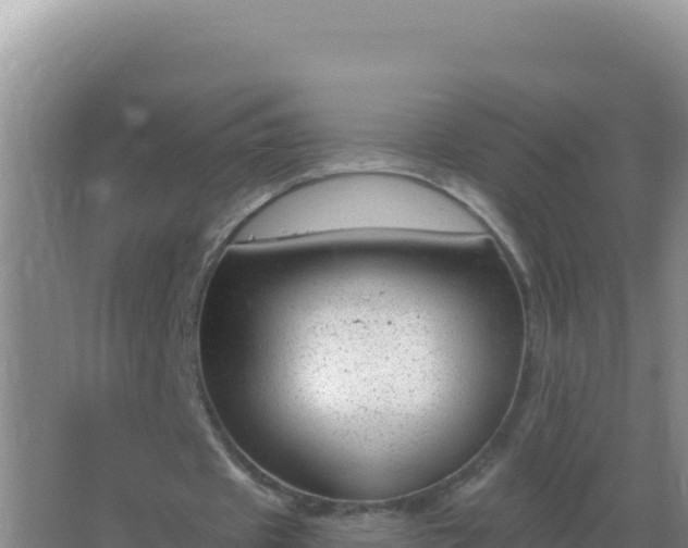 X0000067510433200604150137