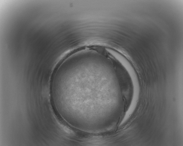 X0000067510438200604150137