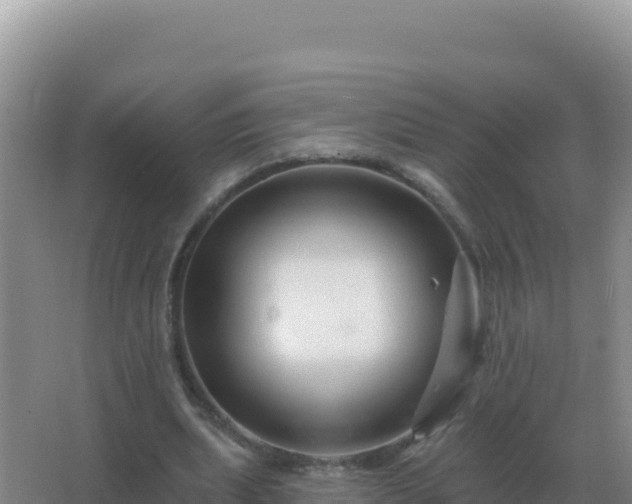 X0000067510439200604150137