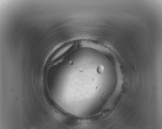 X0000067510440200604150137