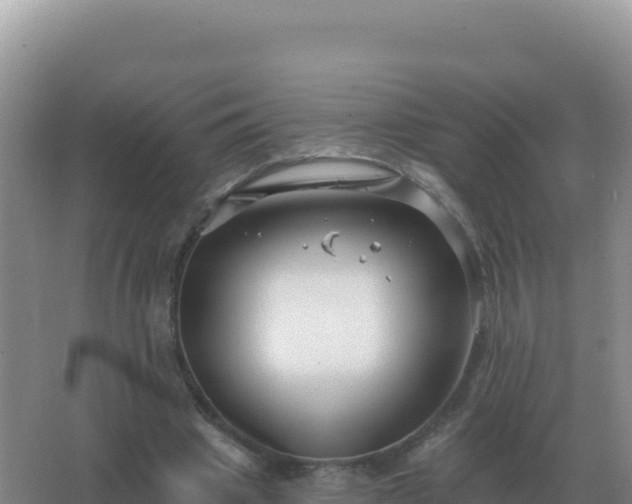 X0000067510441200604150137