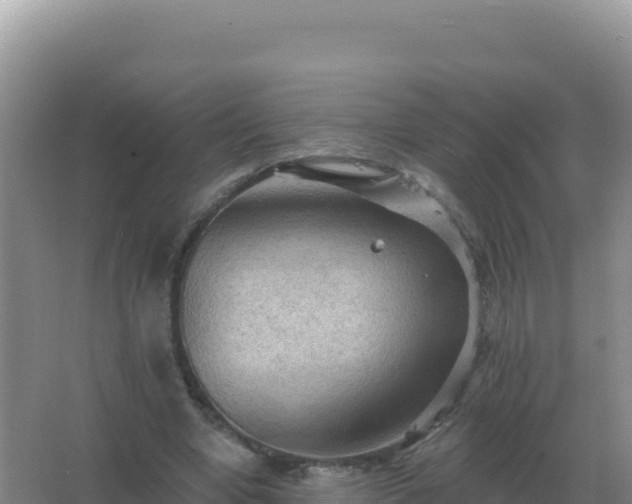 X0000067510442200604150137