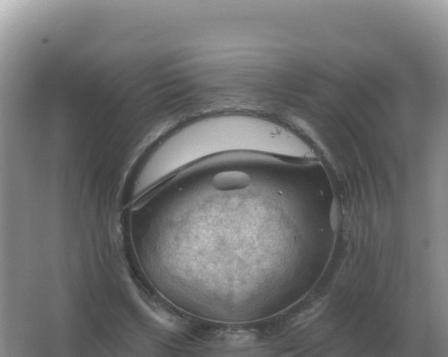 X0000067510443200604150137