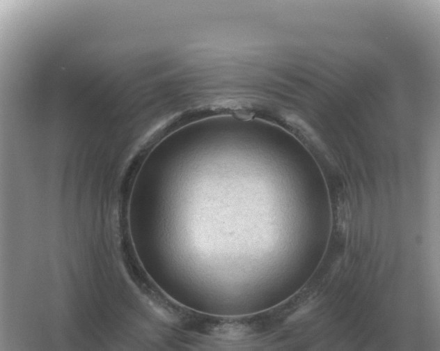 X0000067510444200604150137