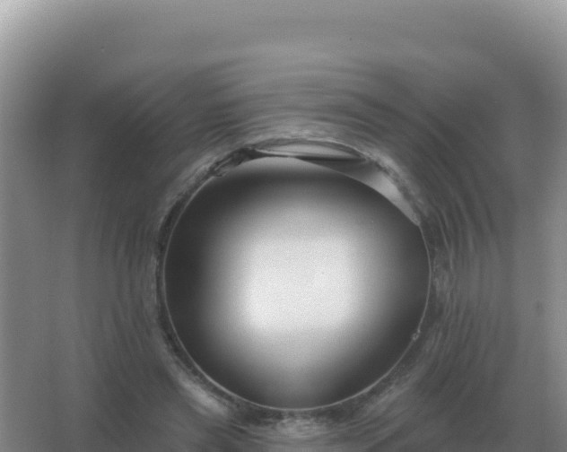 X0000067510445200604150137