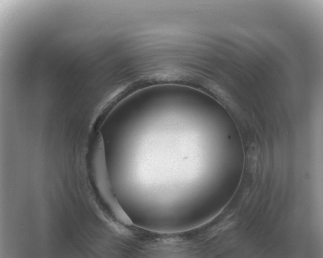 X0000067510446200604150137