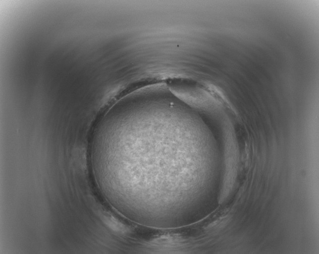 X0000067510447200604150137